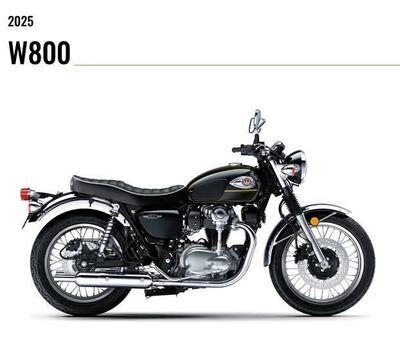 Kawasaki W 800 (2021 - 26) nuova