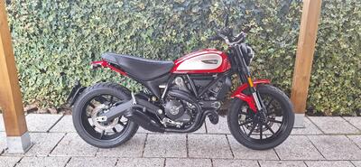 Ducati Scrambler 800 Icon (2017 - 20) usata