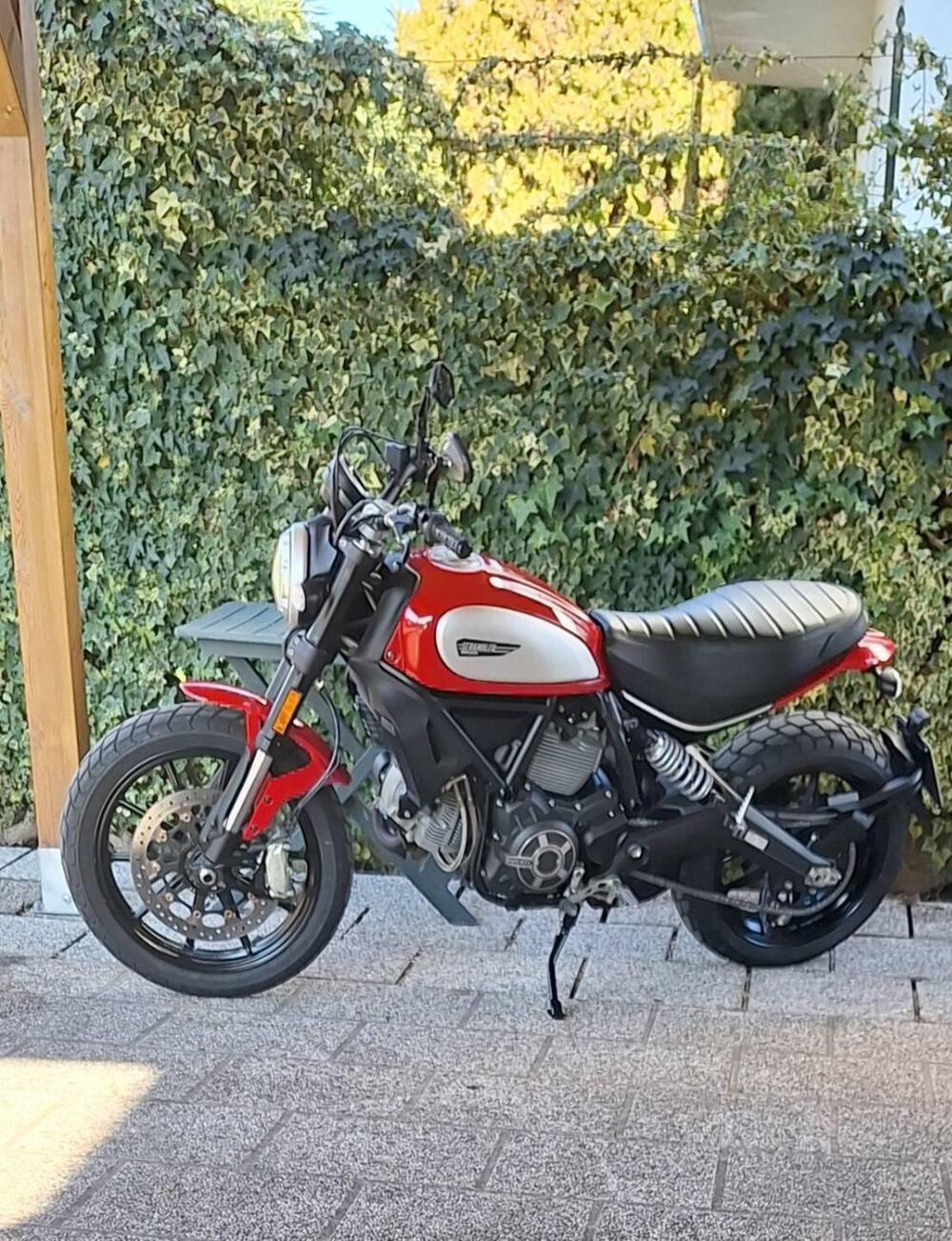 Ducati Scrambler 800 Icon (2017 - 20) (3)