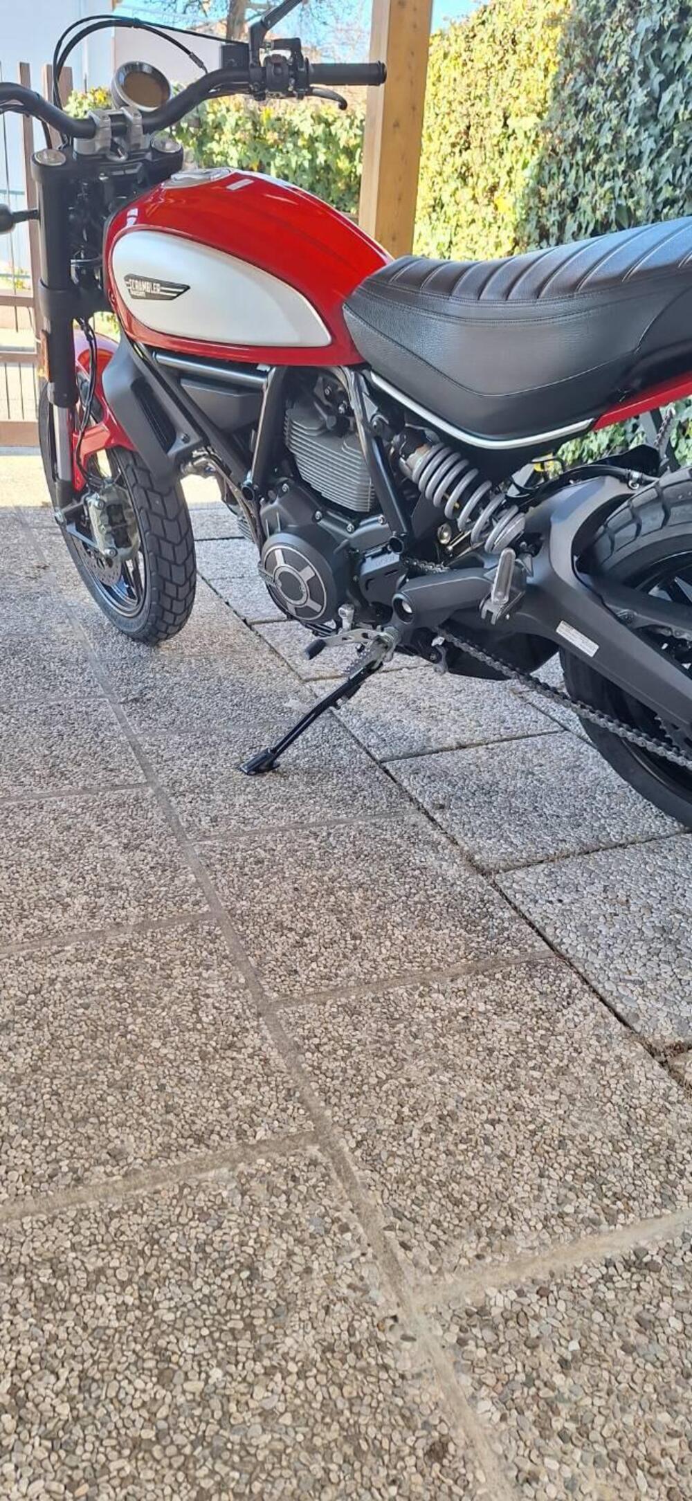 Ducati Scrambler 800 Icon (2017 - 20) (4)