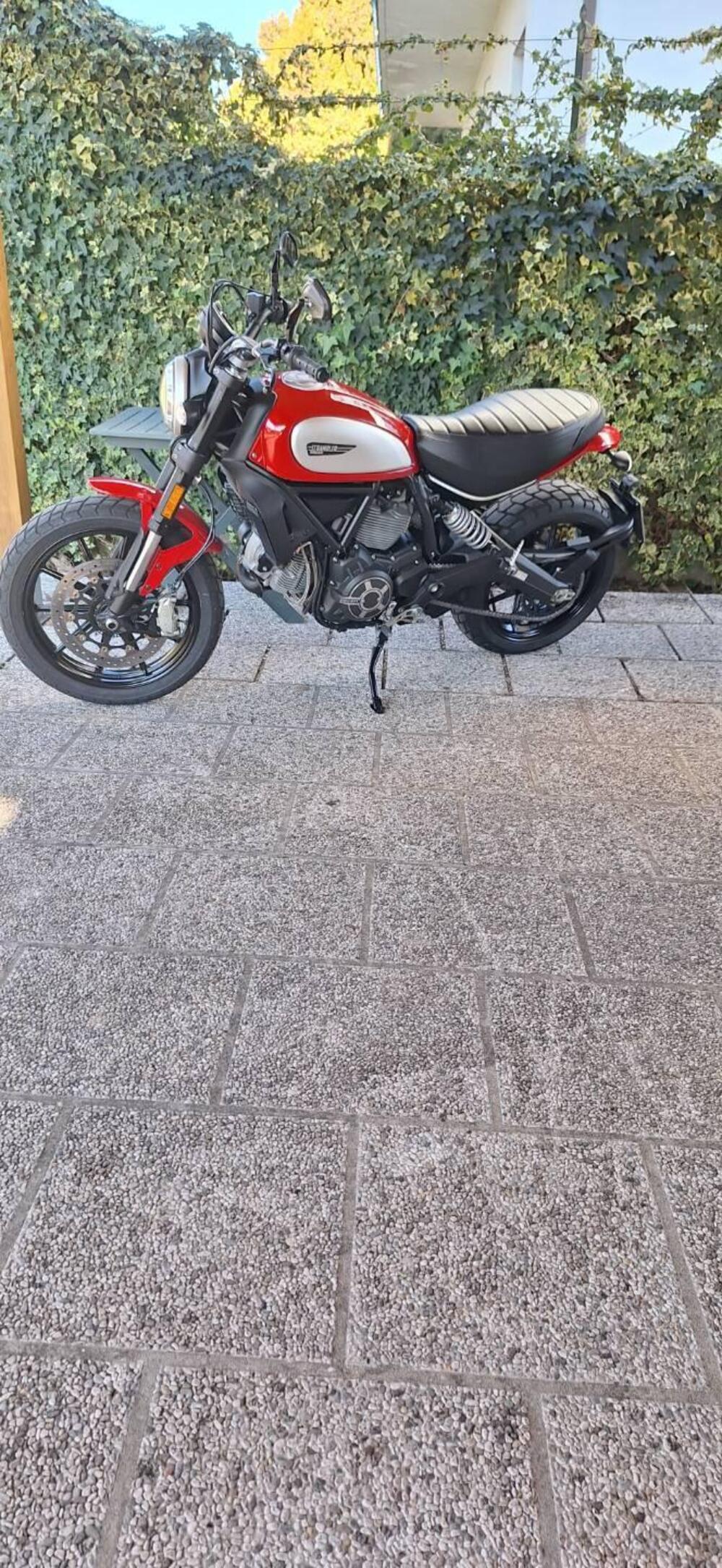 Ducati Scrambler 800 Icon (2017 - 20) (5)