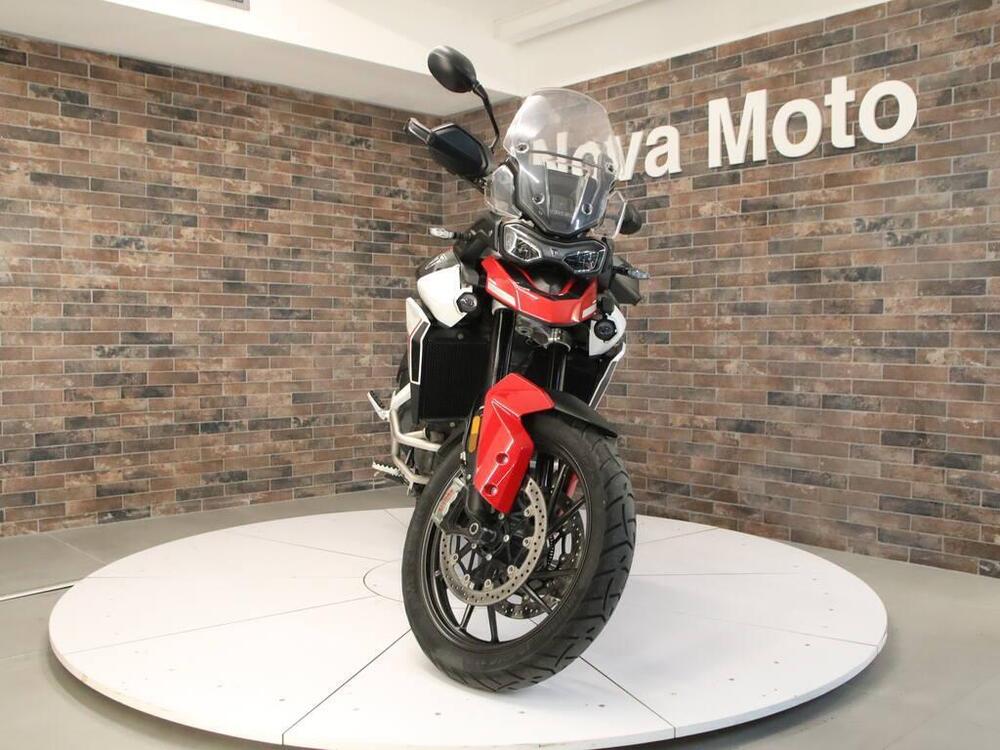 Triumph Tiger 900 GT Aragón Edition (2023 - 24) (7)