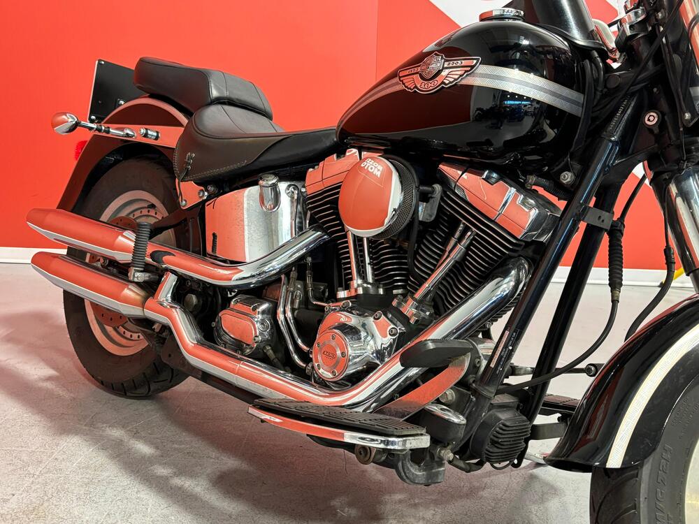 Harley-Davidson 1450 Fat Boy (1999 - 02) - FLSTF (7)