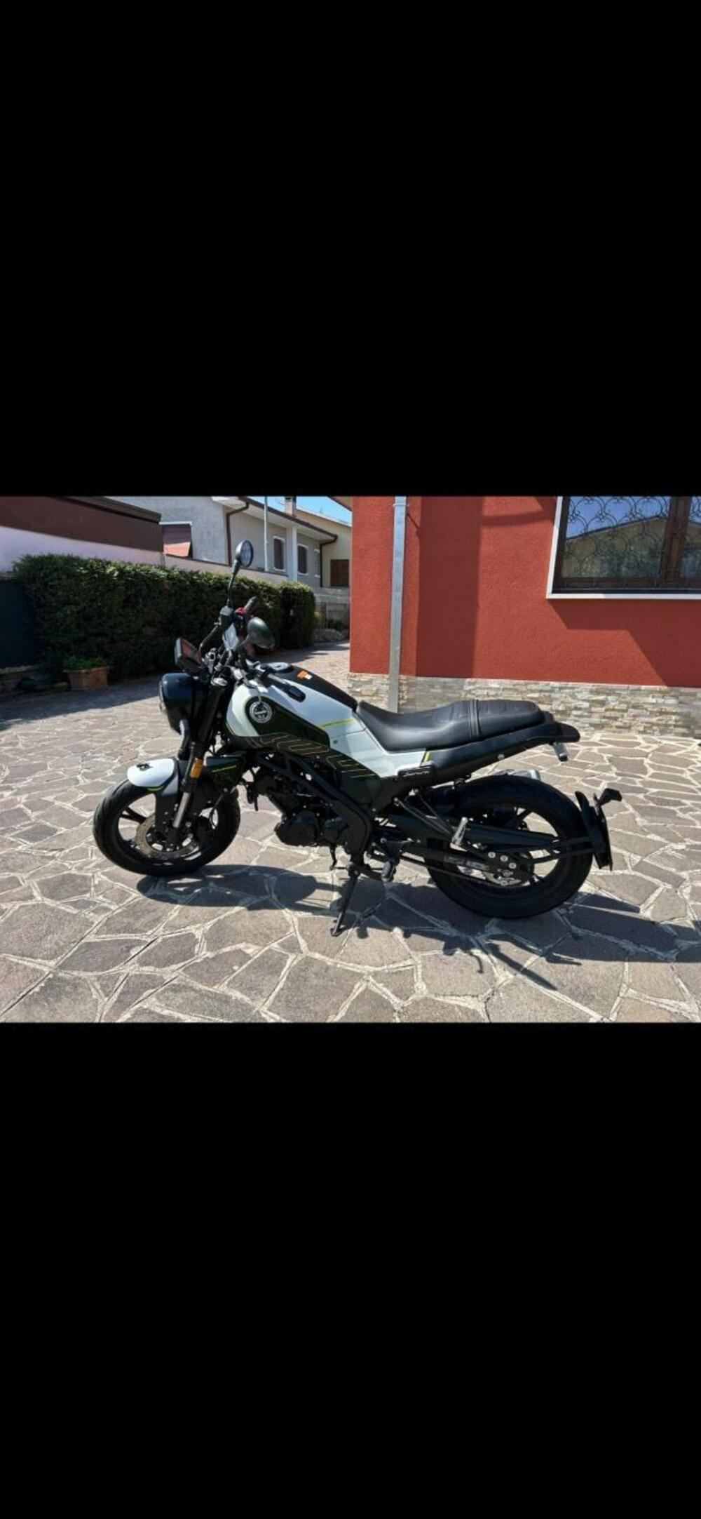 Benelli Leoncino 125 (2022 - 25) (3)