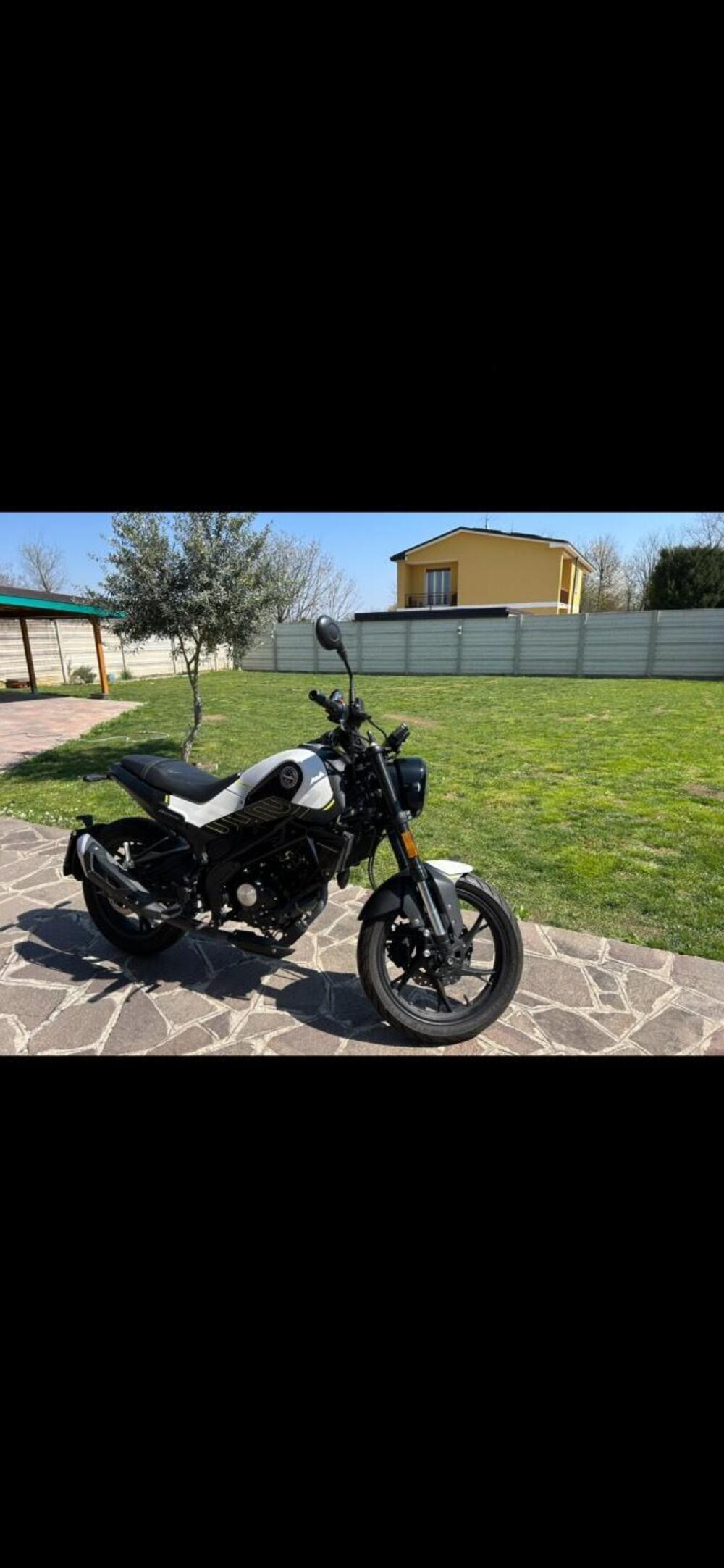 Benelli Leoncino 125 (2022 - 25) (5)