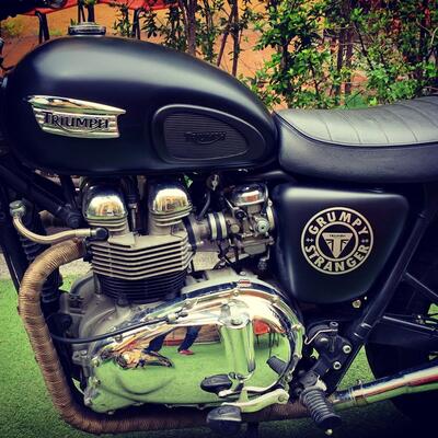 Triumph Bonneville T100 (2001 - 07) usata