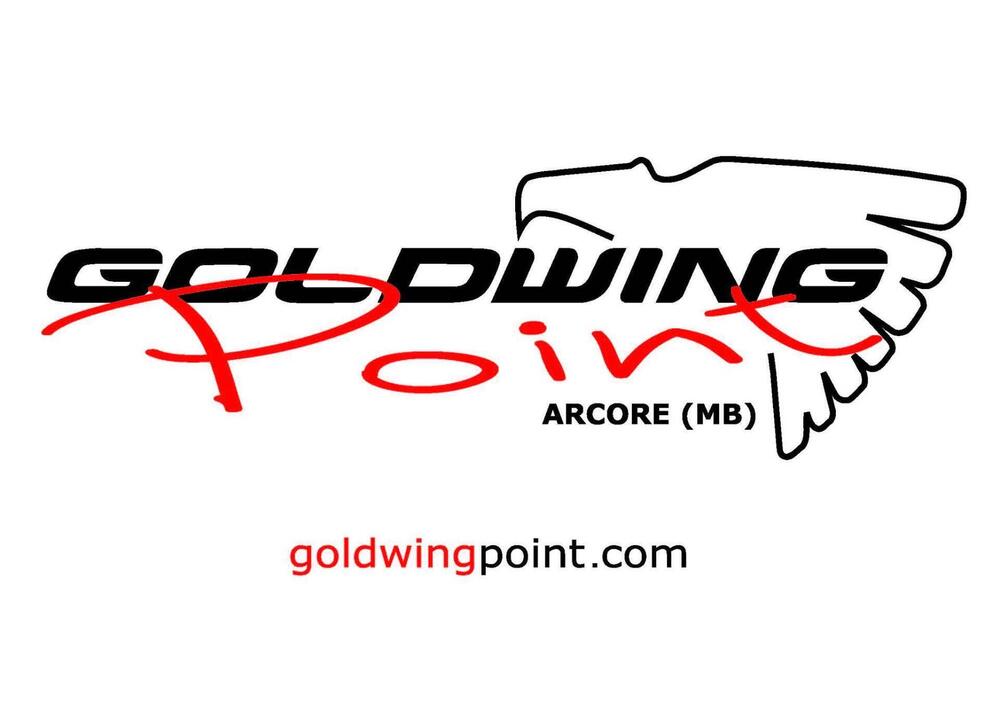 Honda GL 1800 Gold Wing (2006) (14)