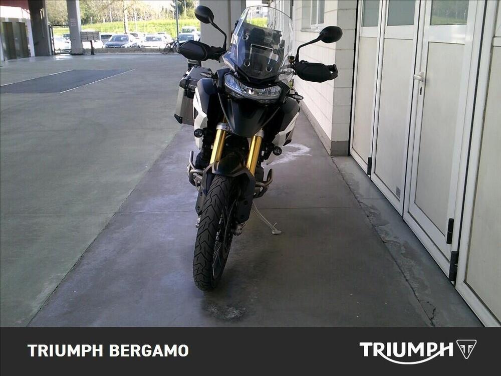 Triumph Tiger 1200 Rally Pro (2022 - 23) (5)