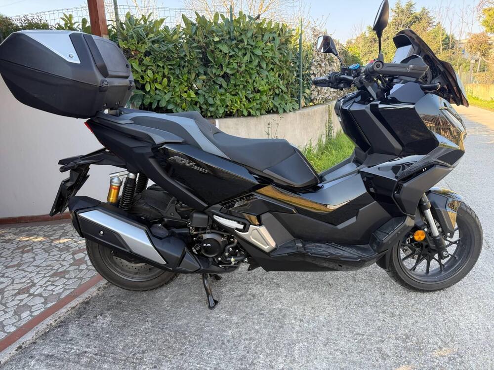 Honda ADV 350 Special Edition (2025 - 26)