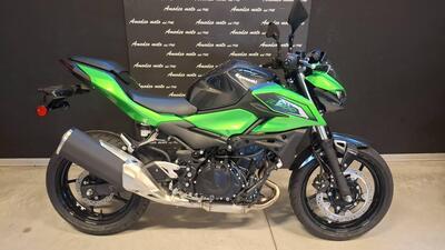 Kawasaki Z 500 (2024 - 26) nuova