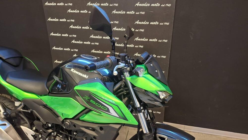 Kawasaki Z 500 (2024 - 26) (5)