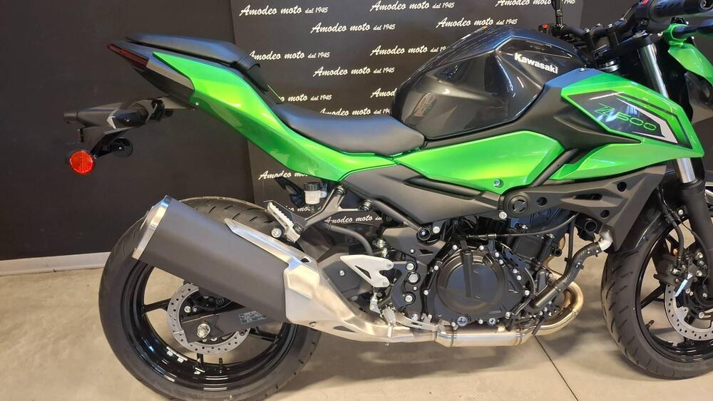 Kawasaki Z 500 (2024 - 26) (6)