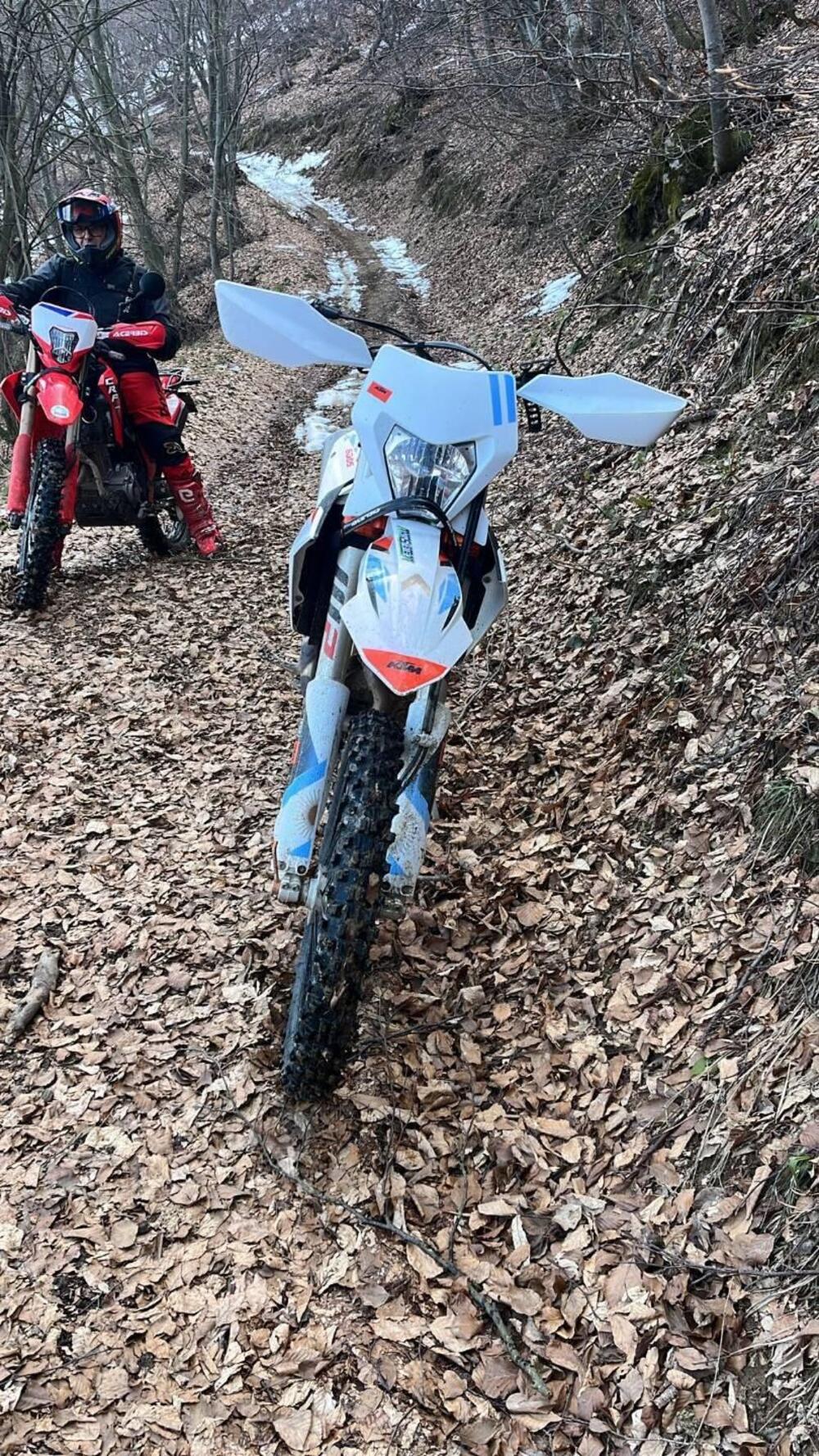 KTM 250 EXC-F Six Days (2024) (2)