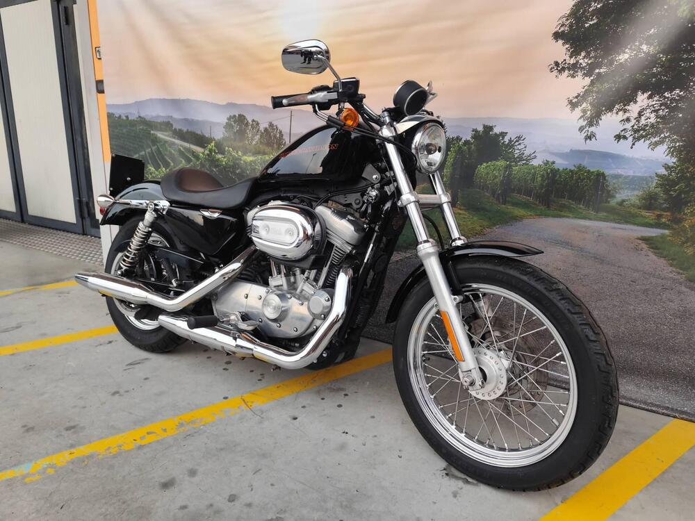 Harley-Davidson 883 (2006 - 07) - XL (2)