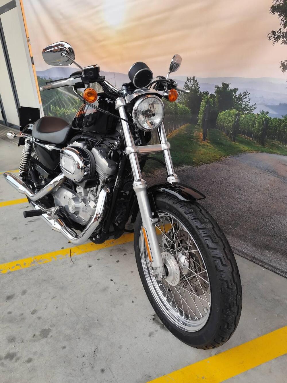 Harley-Davidson 883 (2006 - 07) - XL (3)