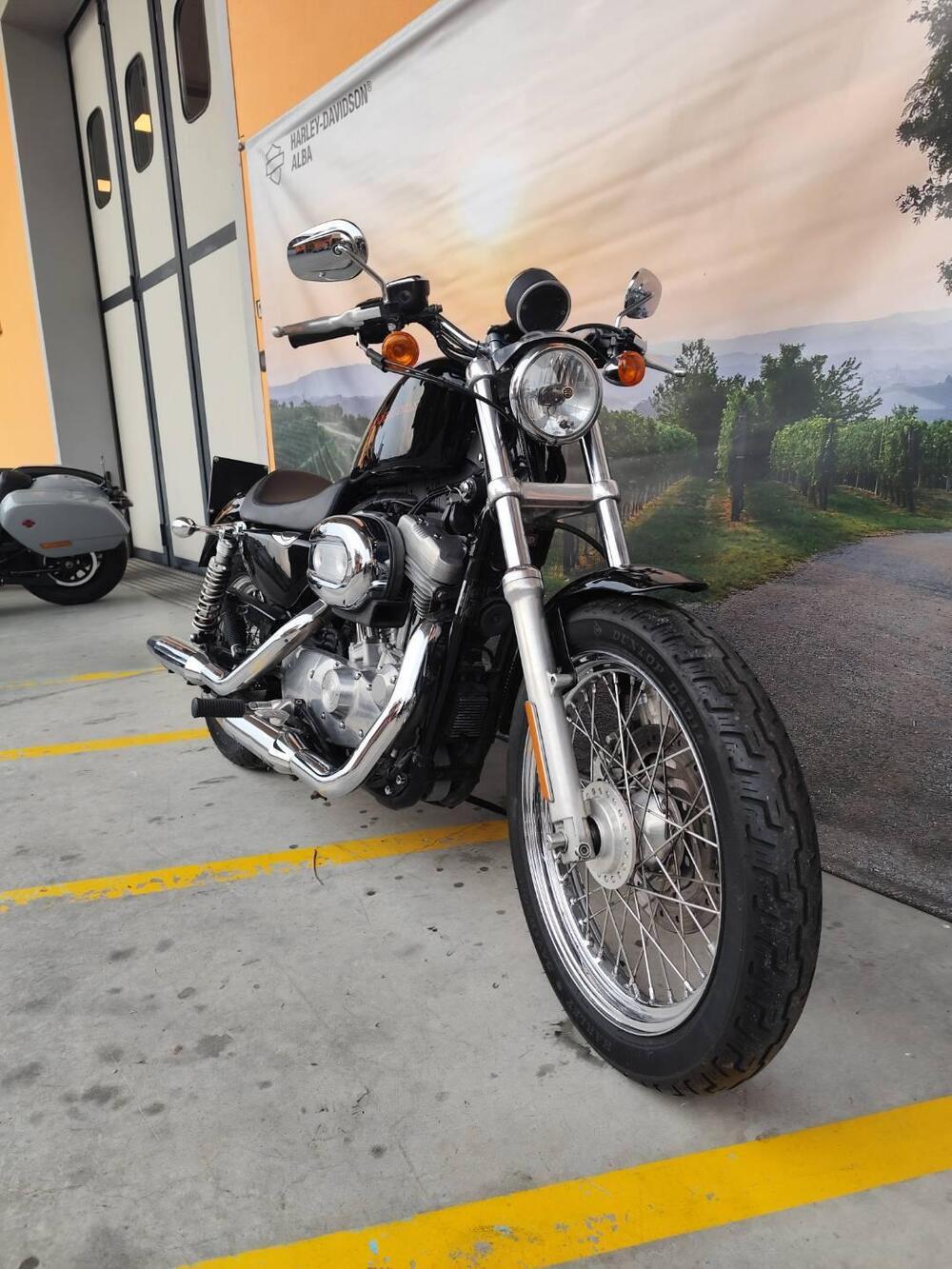 Harley-Davidson 883 (2006 - 07) - XL (4)