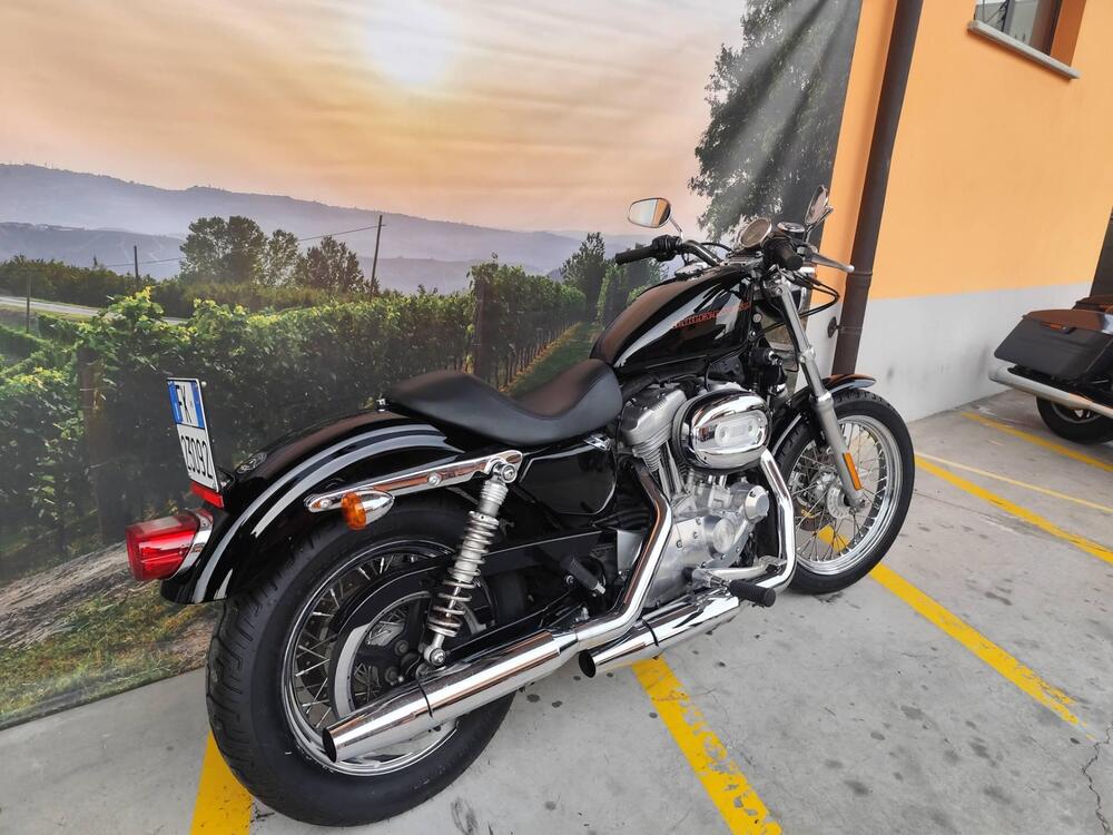 Harley-Davidson 883 (2006 - 07) - XL (5)