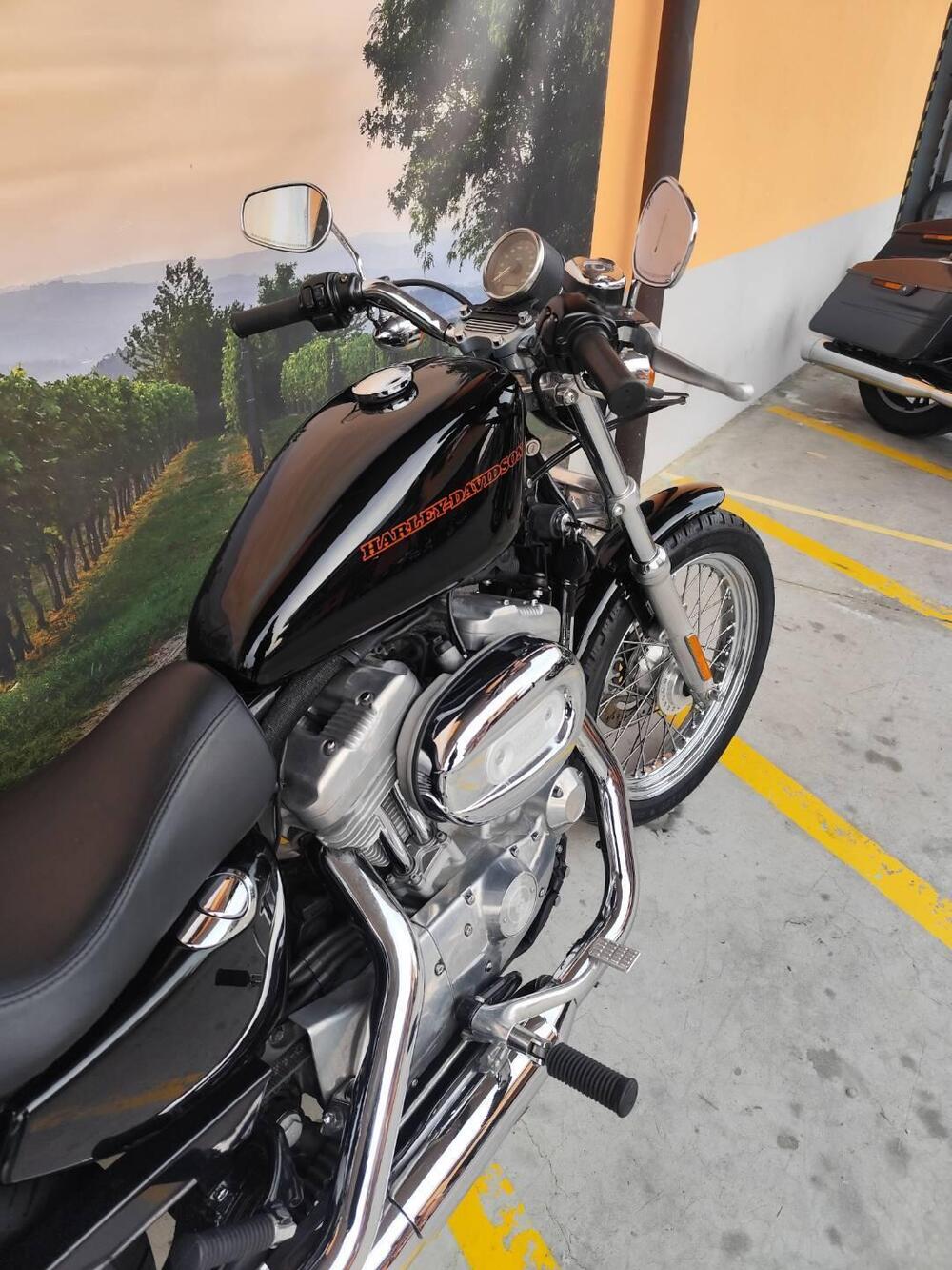 Harley-Davidson 883 (2006 - 07) - XL (7)