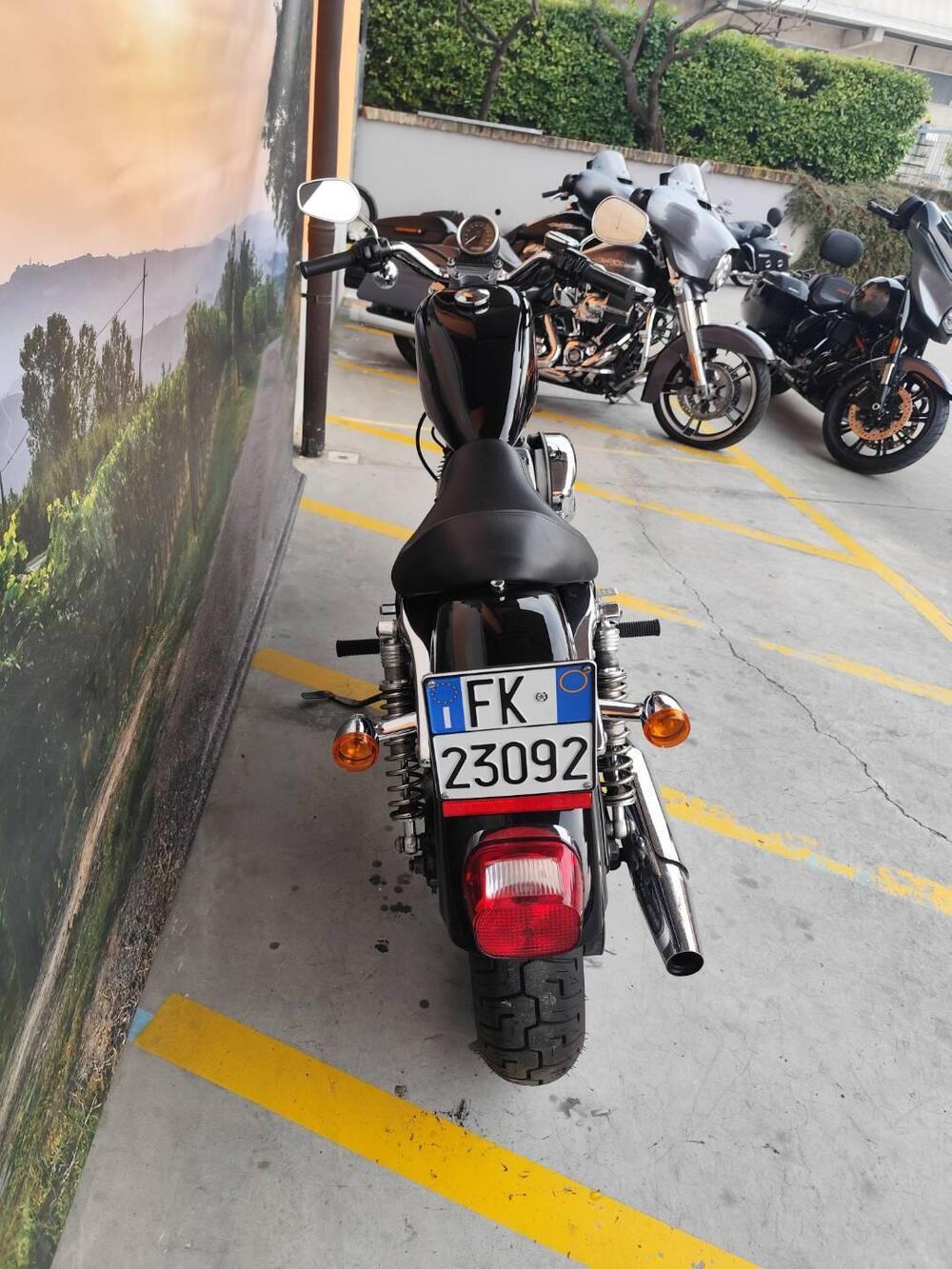 Harley-Davidson 883 (2006 - 07) - XL (8)