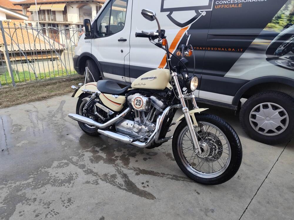 Harley-Davidson 883 Low (2006 - 07) - XL 883L (3)