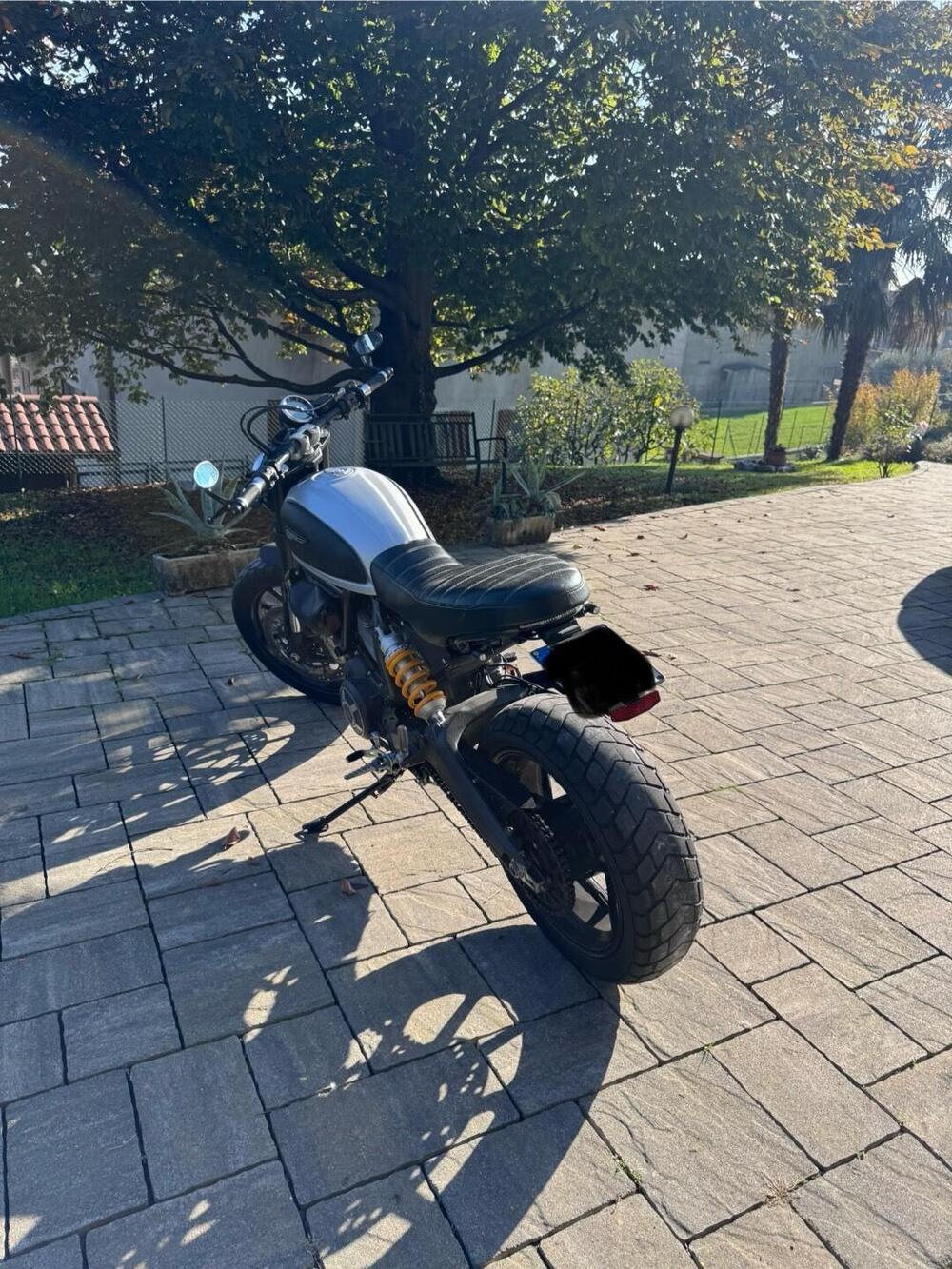 Ducati Scrambler 800 Icon (2015 - 16) (14)