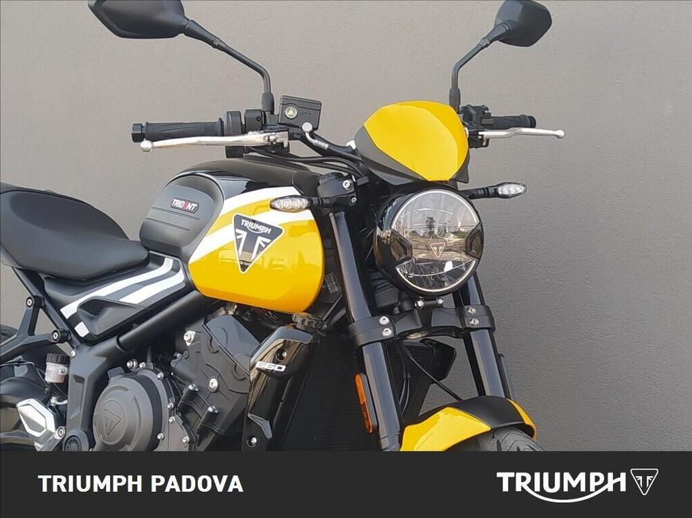 Triumph Trident 660 (2025) (5)