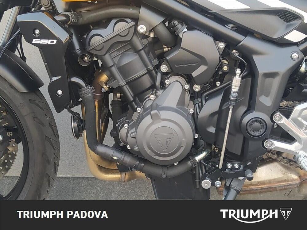 Triumph Trident 660 (2025) (8)