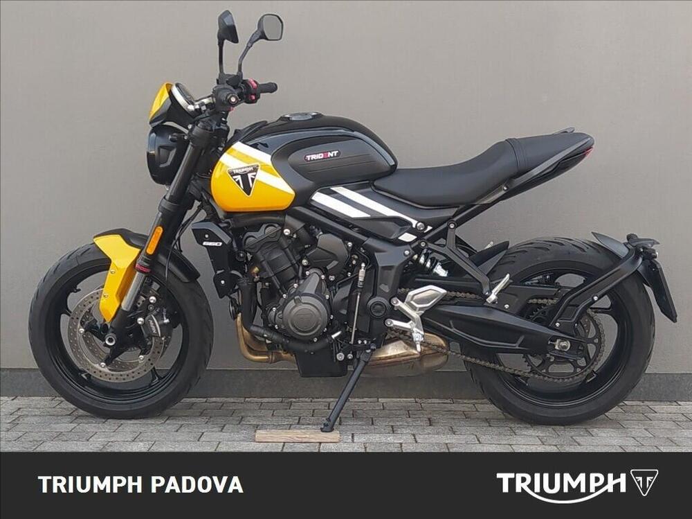 Triumph Trident 660 (2025) (6)