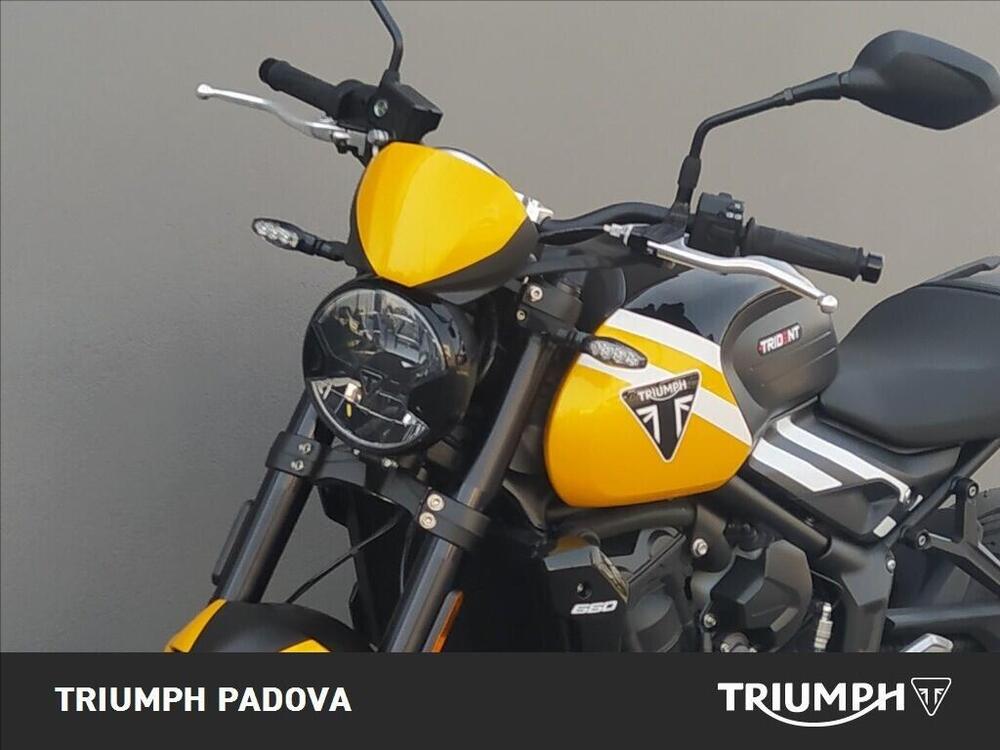 Triumph Trident 660 (2025) (10)