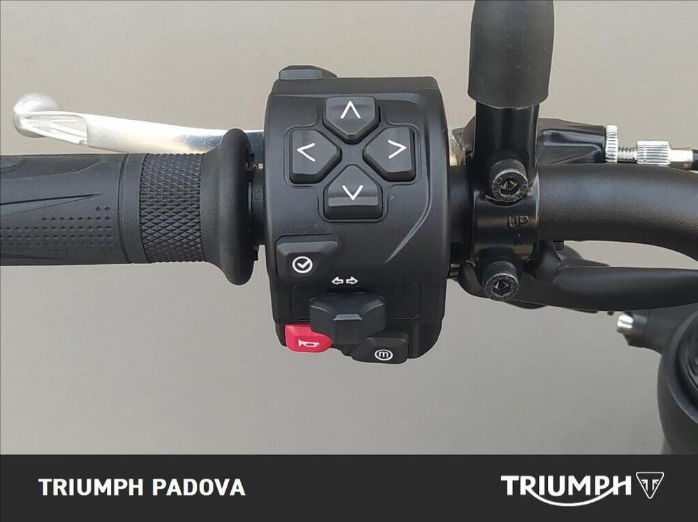 Triumph Trident 660 (2025) (12)
