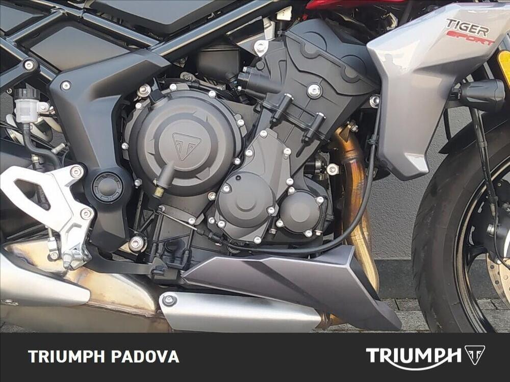 Triumph Tiger Sport 660 (2022 - 24) (3)