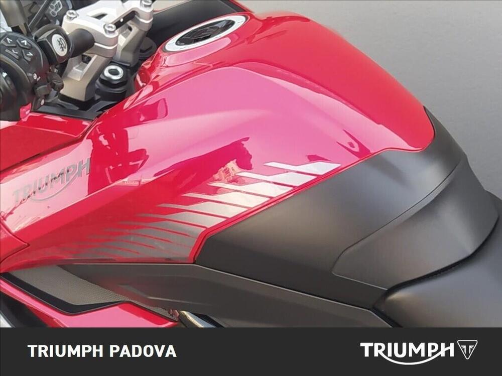 Triumph Tiger Sport 660 (2022 - 24) (9)