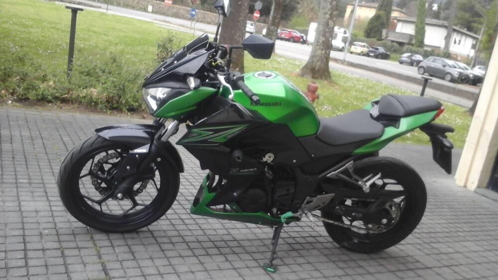 Kawasaki Z 300 ABS (2015 - 16) (2)