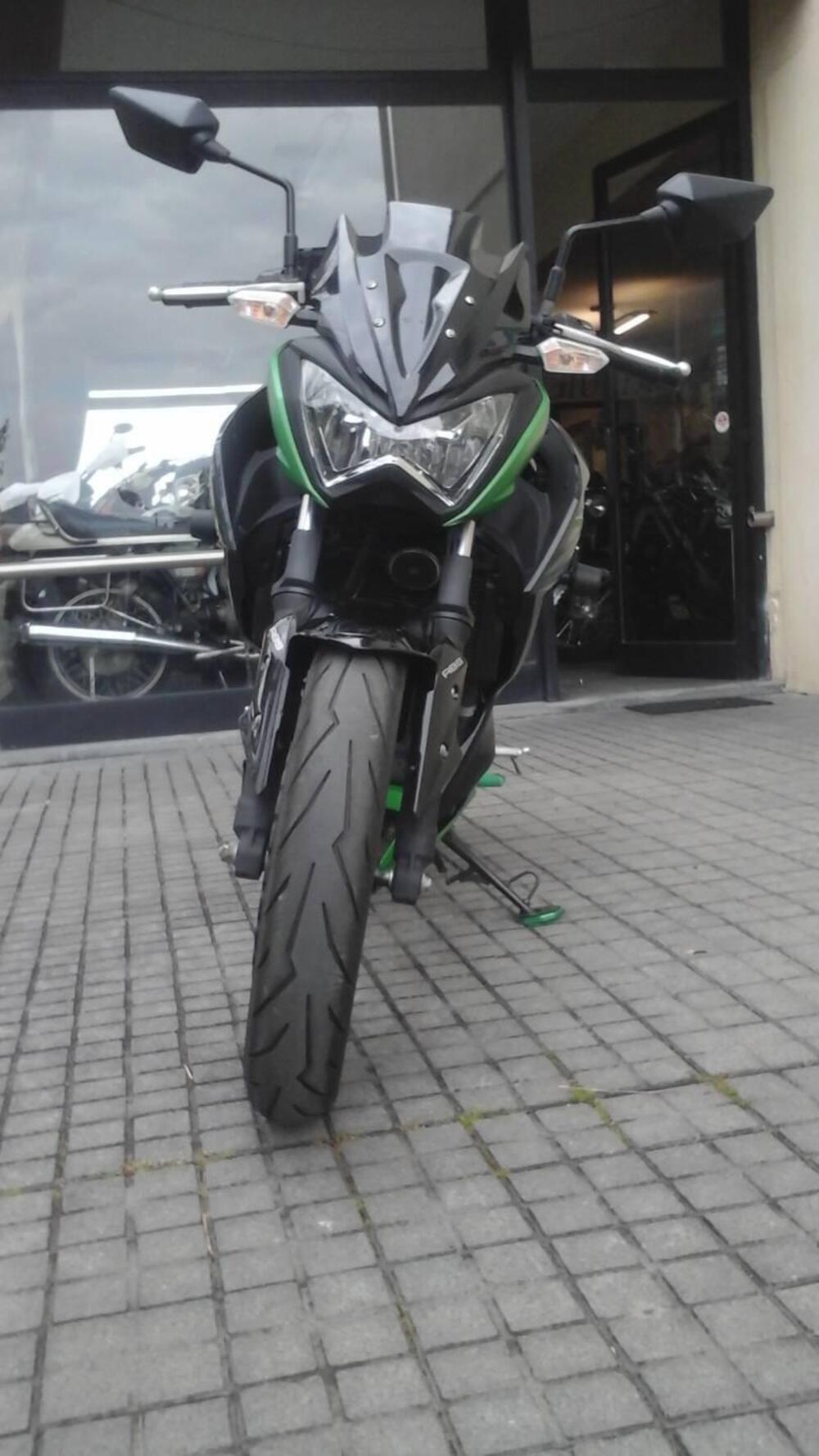 Kawasaki Z 300 ABS (2015 - 16) (3)