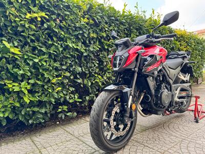 Honda CB 500 Hornet (2024 - 25) usata