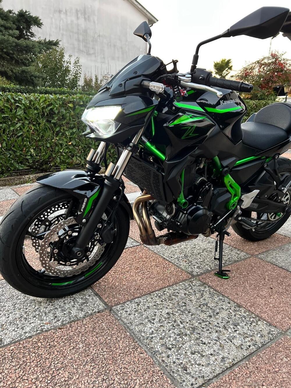 Kawasaki Z 650 (2025 - 26) (6)