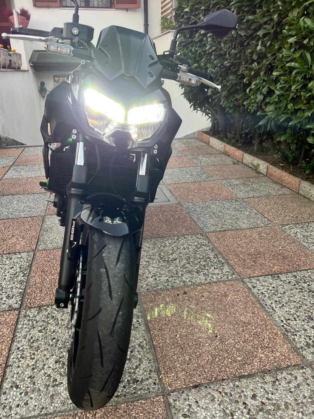 Kawasaki Z 650 (2025 - 26) (7)