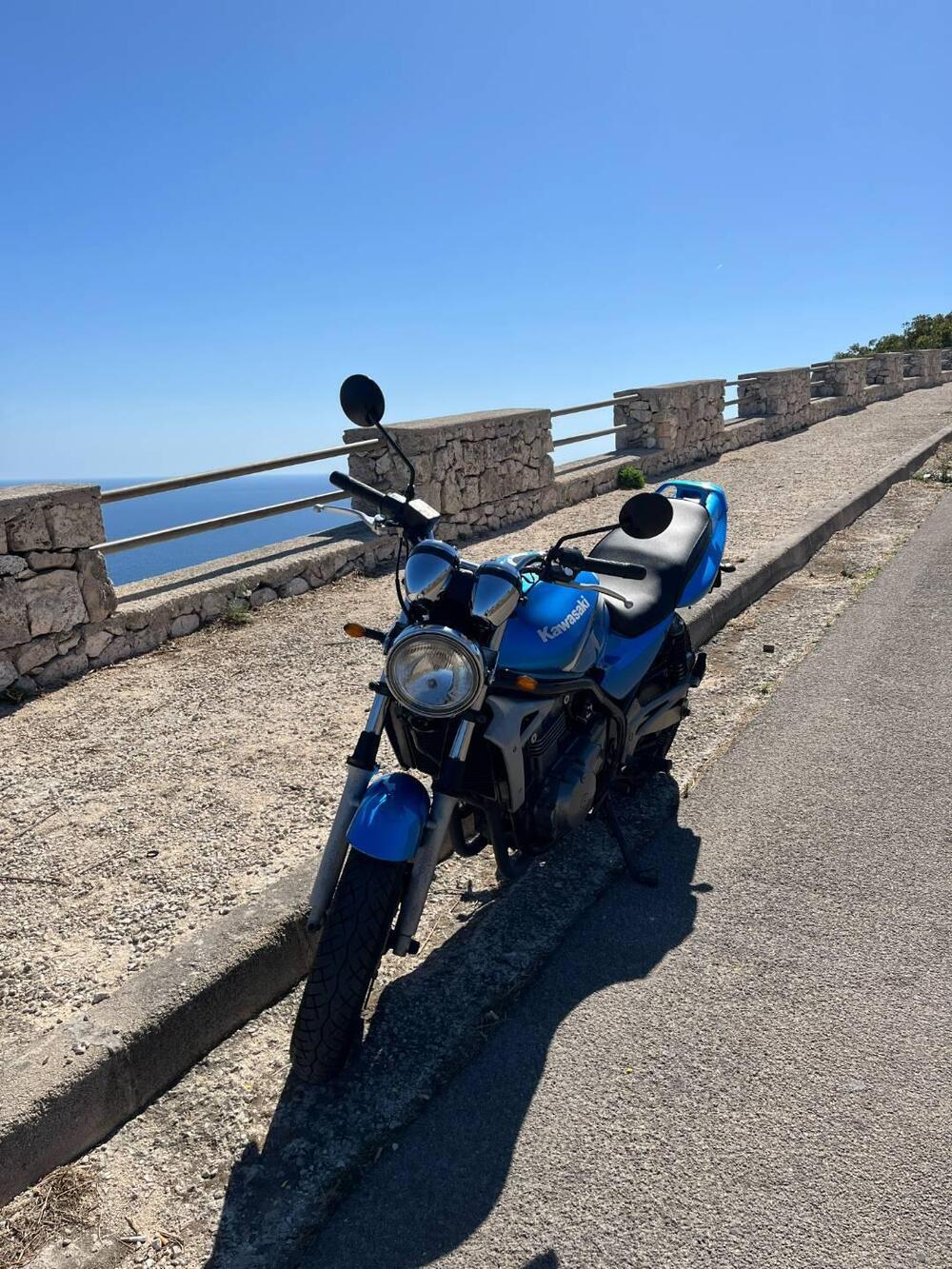 Kawasaki ER-5 500 (2001 - 06)