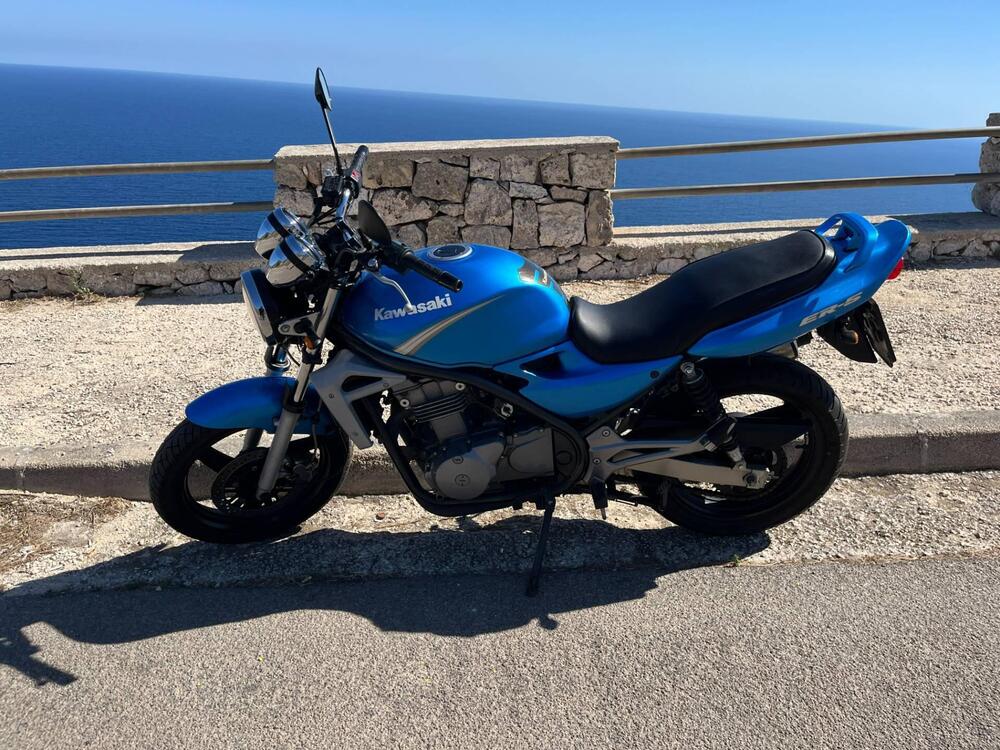 Kawasaki ER-5 500 (2001 - 06) (2)