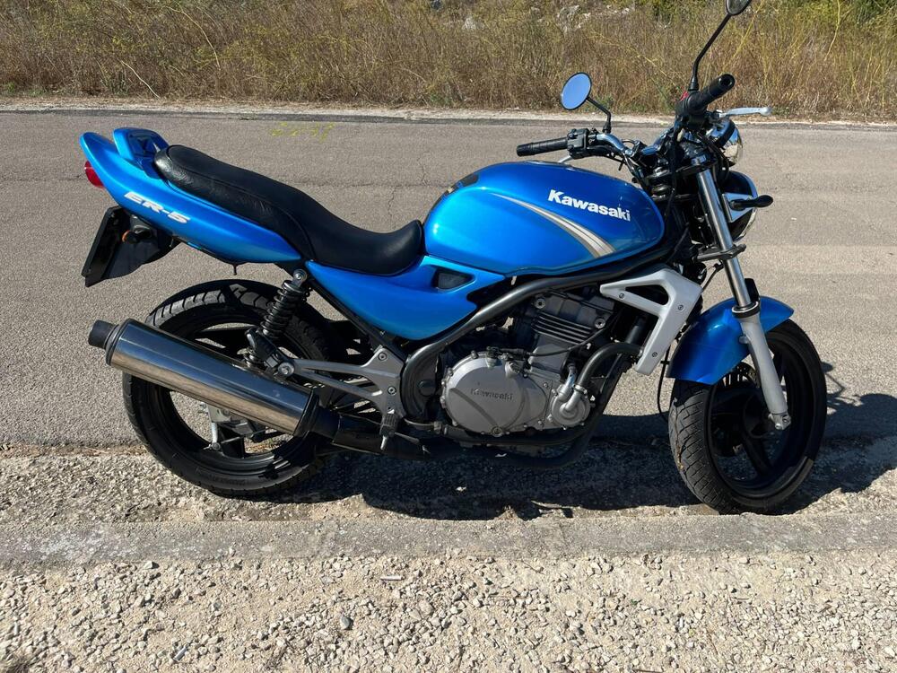 Kawasaki ER-5 500 (2001 - 06) (3)