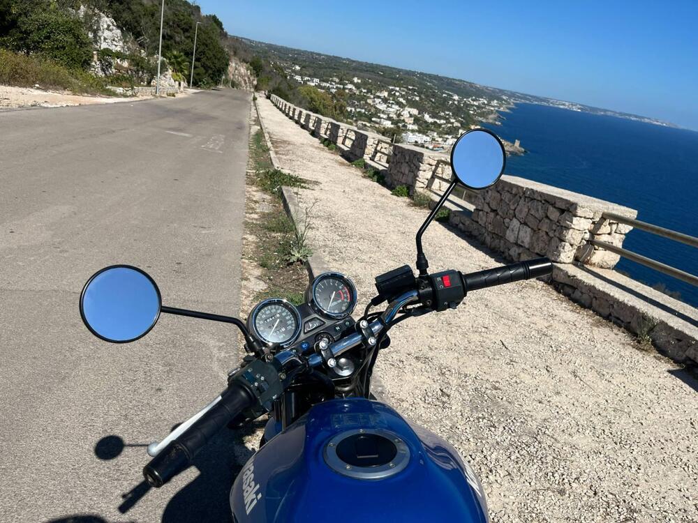 Kawasaki ER-5 500 (2001 - 06) (5)