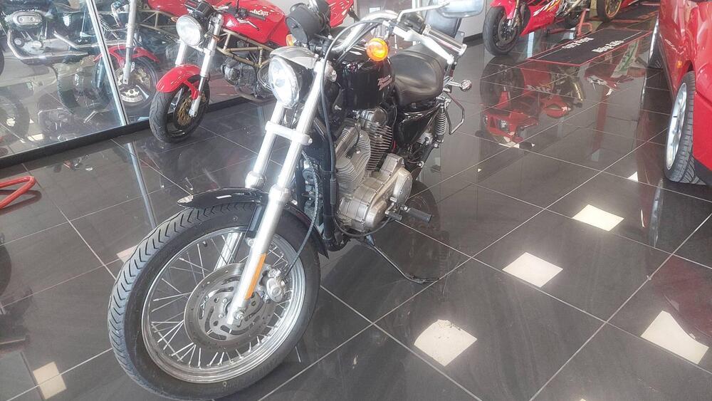 Harley-Davidson 883 (2008 - 09) - XL (3)