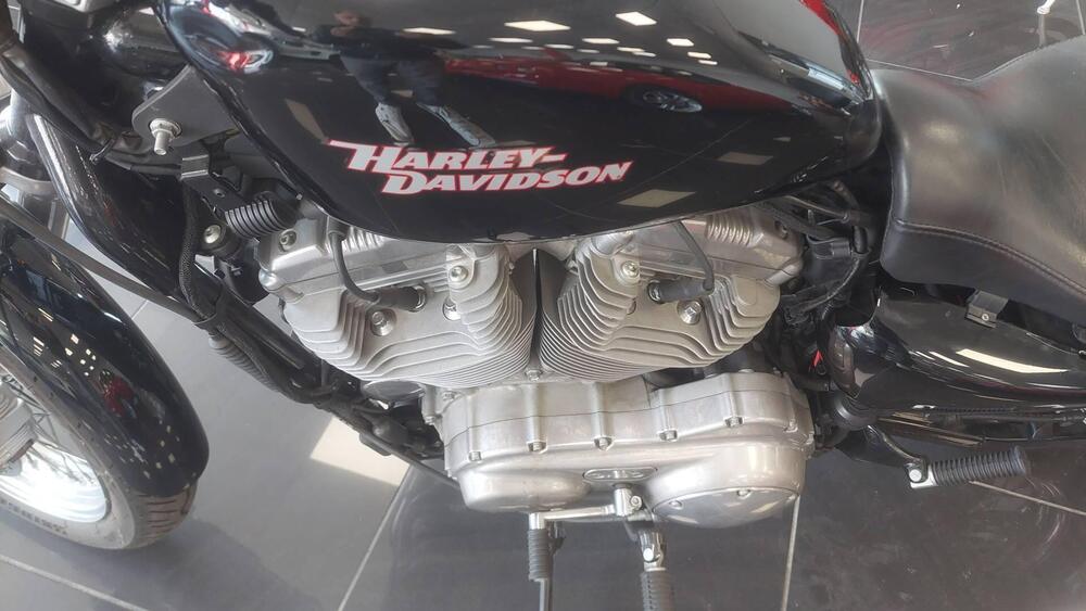 Harley-Davidson 883 (2008 - 09) - XL (4)