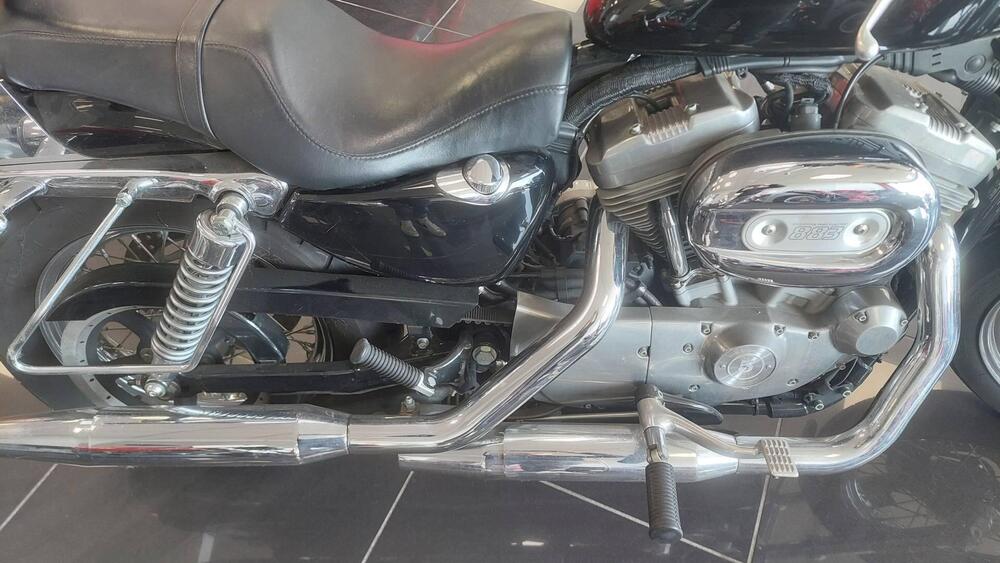 Harley-Davidson 883 (2008 - 09) - XL (6)