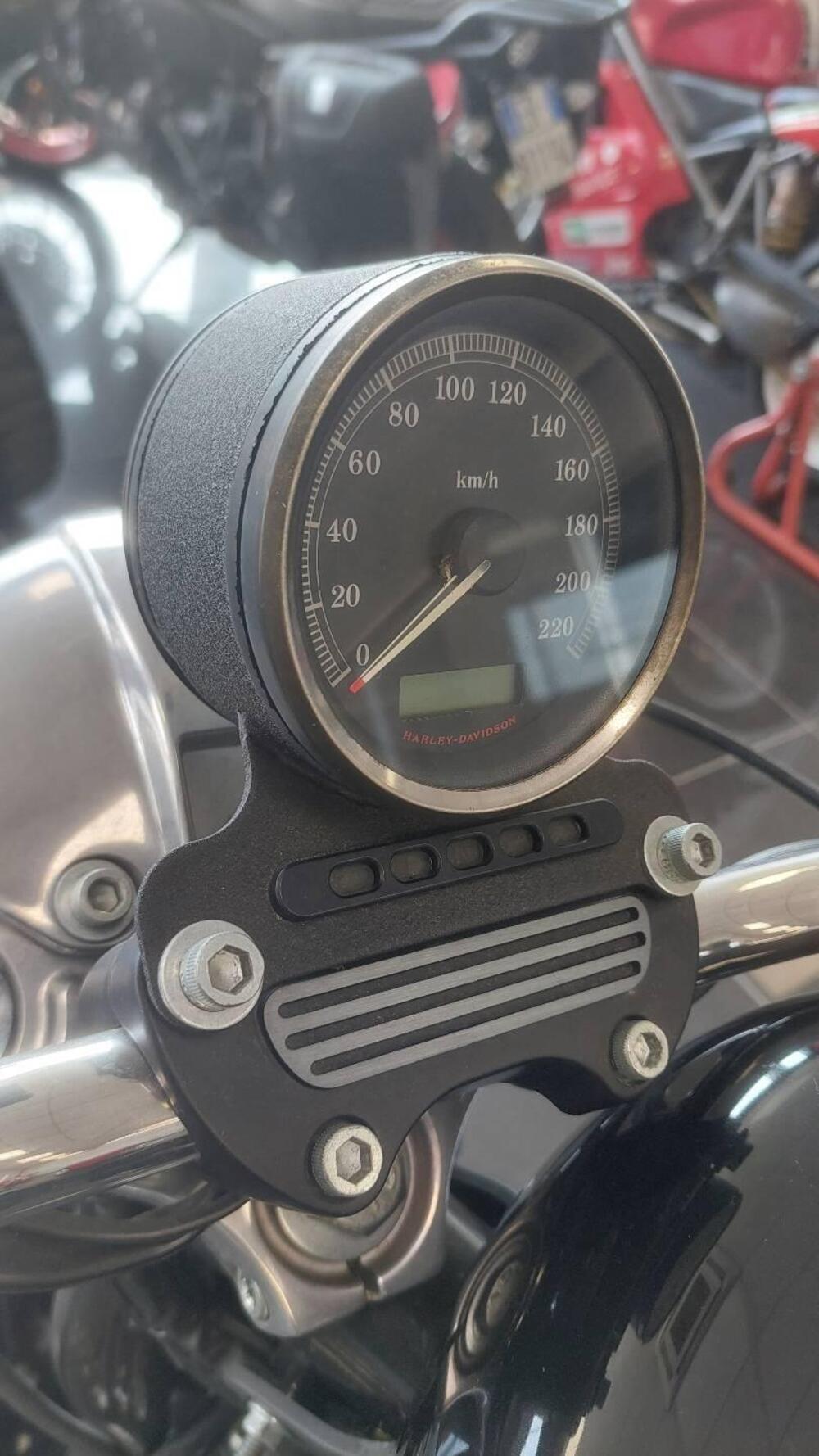 Harley-Davidson 883 (2008 - 09) - XL (8)