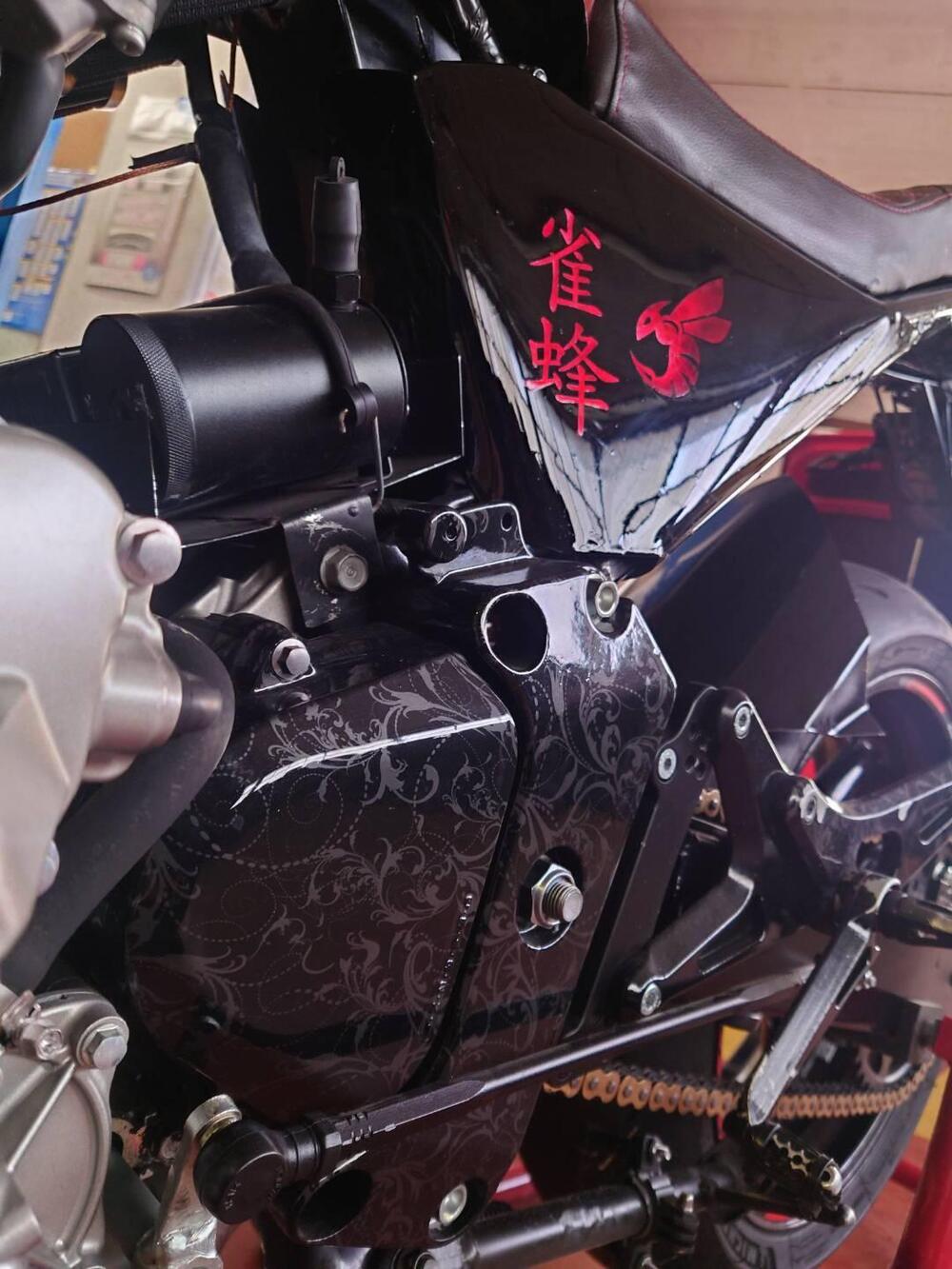 Honda Hornet 600 (2005 - 06) (14)