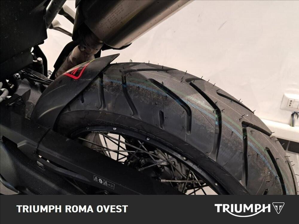 Triumph Tiger 900 Rally (2020 - 23) (12)