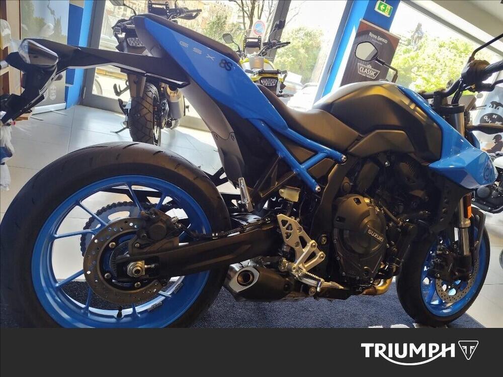 Suzuki GSX-8S (2023 - 24) (3)