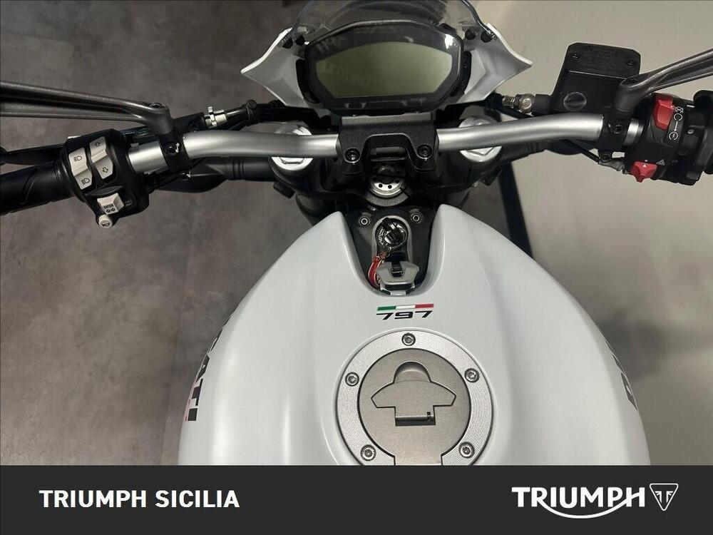 Ducati Monster 797 Plus (2019) (6)