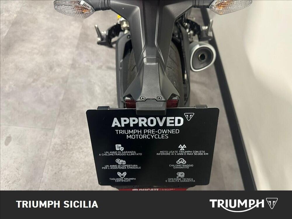 Ducati Monster 797 Plus (2019) (11)